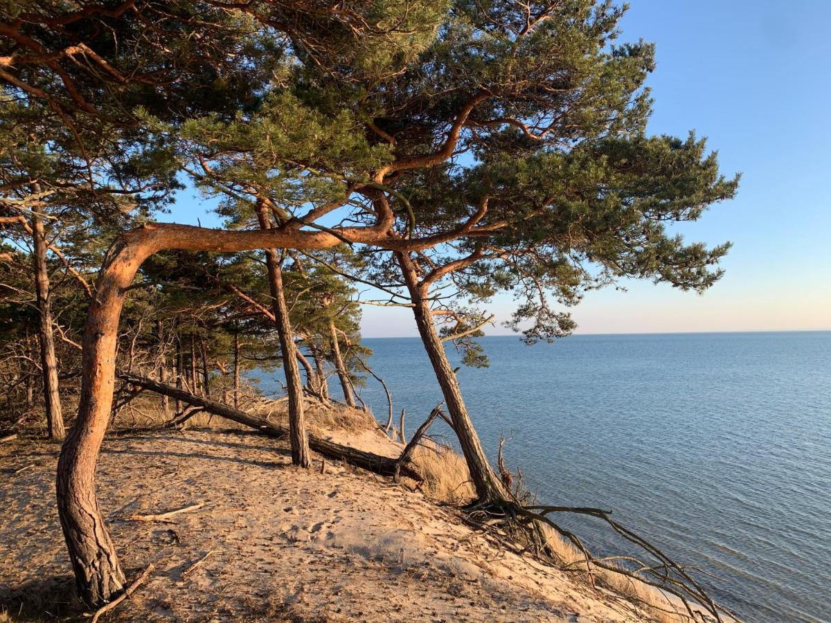 Pokoje - Camping Na Klifie Village - Hel Helska 11 Екстериор снимка